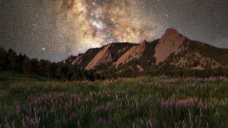 Mountain flower field starry night - star above free wallpaper