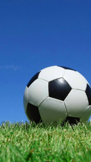 Soccer ball green field sunny - free sports wallpaper for mobile