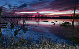Sunset lake dead trees mystical - dead free wallpaper