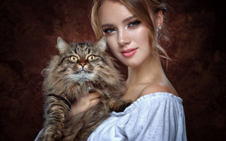 Woman cat blonde blue eyes - a brown wall free wallpaper