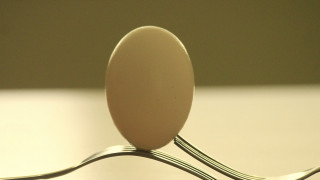 Fork egg meat raytraced precisionism - a piece of meat free wallpaper