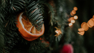 Christmas tree orange string lights - the tree behind free wallpaper