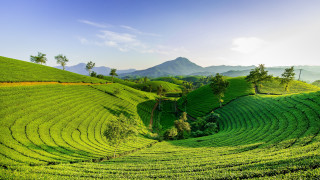 Green field mountain blue sky - a green field free wallpaper