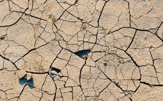 Cracked surface bird honeycomb fence - cracked free wallpaper