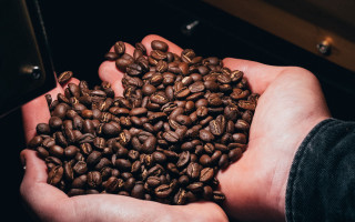 Coffee beans hands cell phone - a person holding free wallpaper