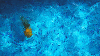Yellow floating object blue pool - a yellow object free wallpaper