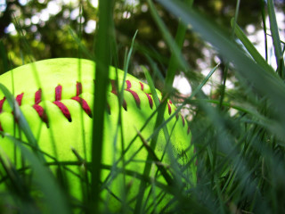 Green baseball red stitches grass - the ball free wallpaper