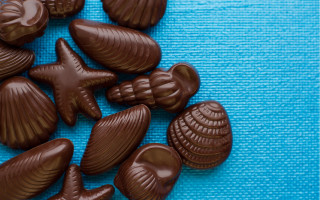Chocolate sea shells blue towel - decadent free wallpaper