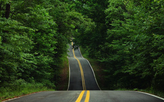 Long road yellow line trees - a long road free wallpaper