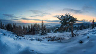 Snowy landscape tree sunset clouds - artur tarnowski free wallpaper