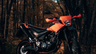 Motorcycle woods person night outdoors - product photo free wallpaper