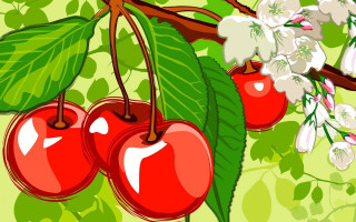 Cherries flowers leaves green background - white flower and leaves free wallpaper for desktop