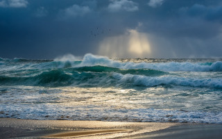 Beach waves sunbeam birds australian - crepuscular ray free wallpaper