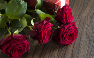 Red roses chocolates candle romantic - red rose free wallpaper for desktop