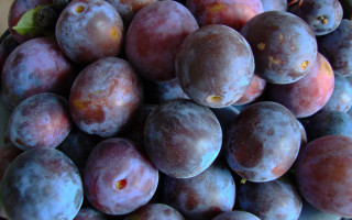 Bowl plums green leaf closeup - free stars wallpaper
