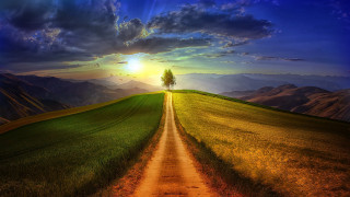 Dirt road green field lone 4 - a dirt road free wallpaper