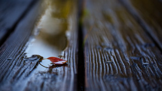 Leaf bench water photorealism macro - a wooden bench free wallpaper