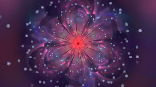 Colorful flower galaxy hologram bubble - white dot free wallpaper