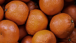 Oranges pile table white background - a black border free wallpaper for desktop