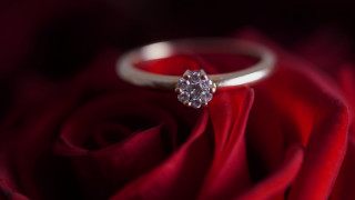 Diamond ring red rose petals - free hearts wallpaper for desktop