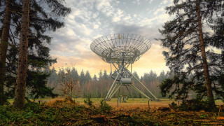 Radio dish forest sky sunset - sci fi free wallpaper for desktop