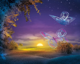 Butterflies flying field night sunset - dreamlike free wallpaper