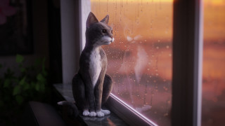 Black cat window rain photorealistic - outside free wallpaper