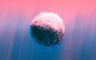 Large object floating water pink - a large object free wallpaper for desktop