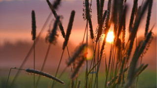 Field sunset pink sky mountain - a pink sky in the background free wallpaper for desktop