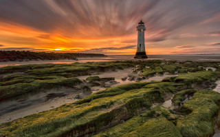 Lighthouse rocky beach sunset moss - green moss free wallpaper