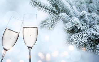 Champagne flutes christmas branch snow - bálint kiss free wallpaper for desktop