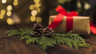 Present box red ribbon pine - a christmas tree in the background free wallpaper