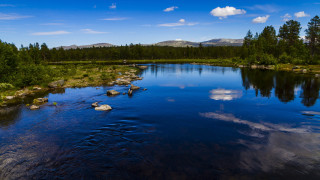River rocks trees mountain beach - a mountain in the distance free wallpaper