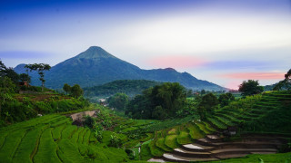 Lush green hillside mountain steps - a lush green hillside free wallpaper
