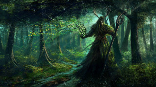 Person forest staff tree path - fantasy concept art free wallpaper