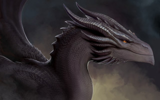 Black dragon orange eyes dark - orange eye free wallpaper