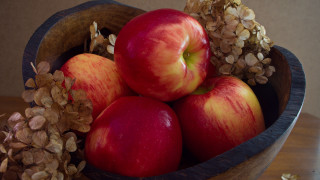 Bowl apples nuts leafy branch - nuts free wallpaper