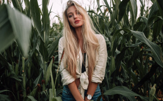 Woman cornfield serious blonde nature - blonde hair free wallpaper