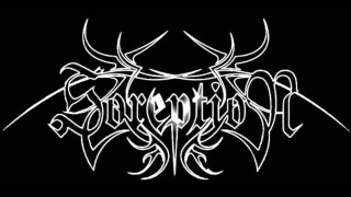 Black white logo spider head - a spider free wallpaper