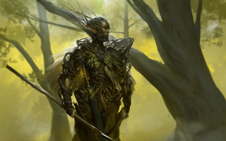 Man sword bird forest armor - a sword and a bird free wallpaper