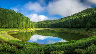 Lake forest blue sky clouds - choi buk free wallpaper
