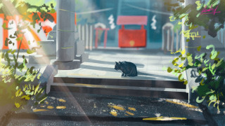 Black cat sidewalk tree building - a tree and a building free wallpaper