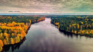 River forest autumn leaves cloudy - bruno liljefors free wallpaper