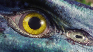 Dragon eye yellow black reflection - black spot free wallpaper