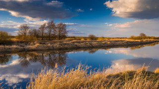 River trees clouds sunset ocean - alexander brook free wallpaper
