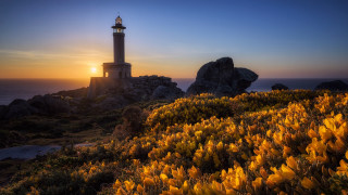 Lighthouse rocky cliff sunset flowers - radiant free wallpaper for desktop