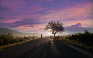 Lone person road sunset purple - daniel lieske free wallpaper for desktop