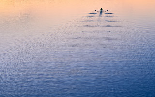 Lake sunset rowing boat tranquil - free ship wallpaper