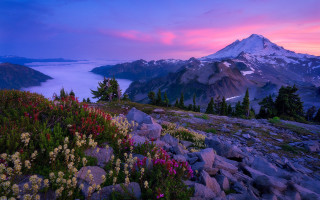 Mountain lake flowers pink sky - a pink sky in the background free wallpaper for desktop