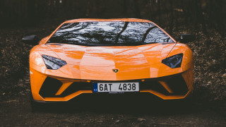 Yellow lamb car forest license - a license plate free wallpaper